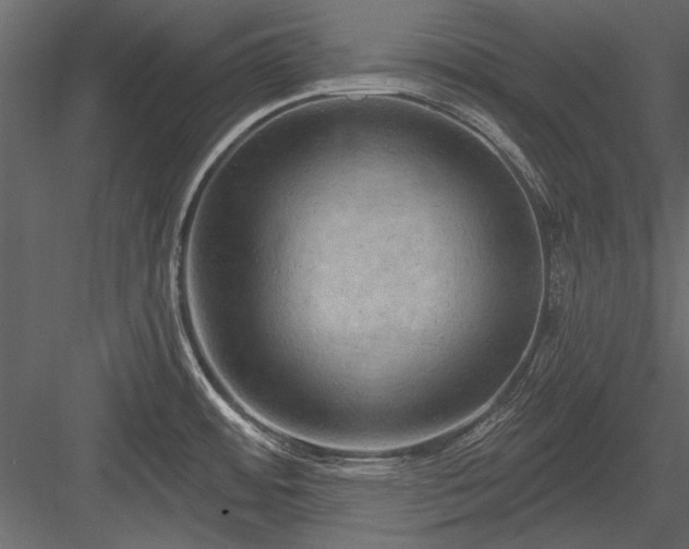 X0000084051484200702232338