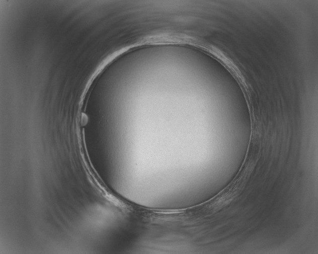 X0000084051486200702232338