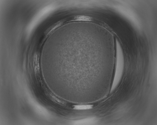 X0000084051487200702232338