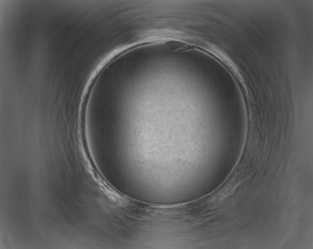 X0000084051488200702232338