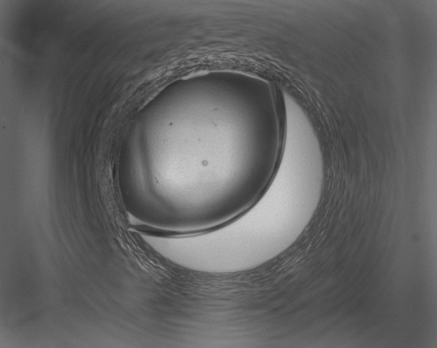 X0000084051489200702232337