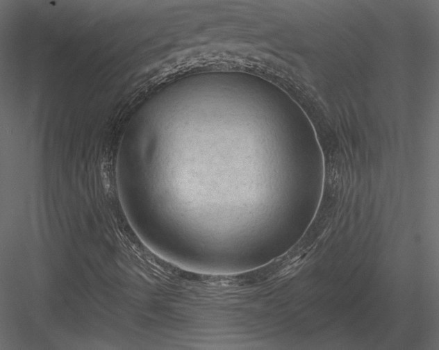 X0000084051490200702232337