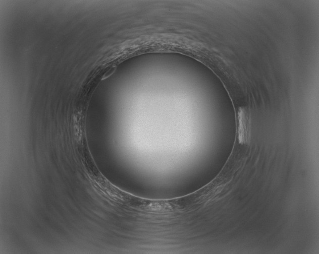 X0000084051491200702232337