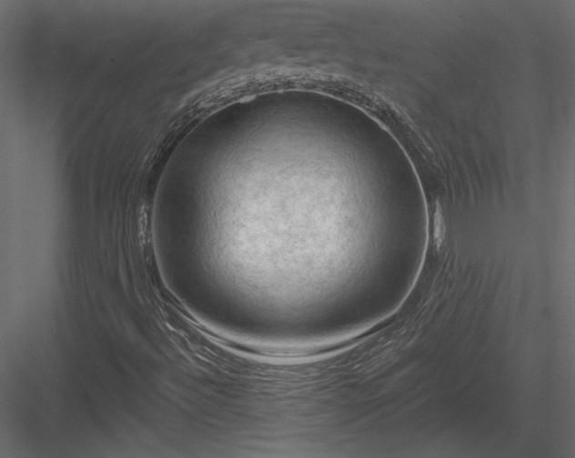 X0000084051492200702232337