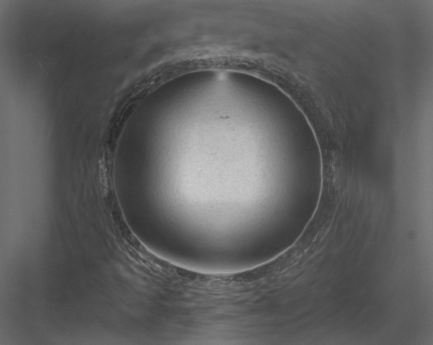 X0000084051493200702232337