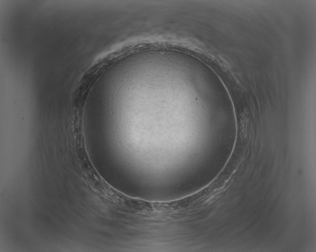 X0000084051494200702232337