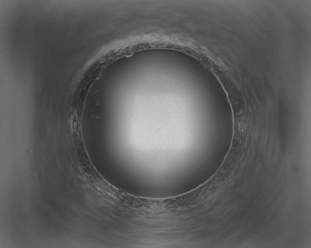 X0000084051495200702232337