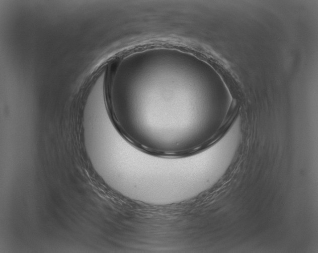 X0000084051496200702232337