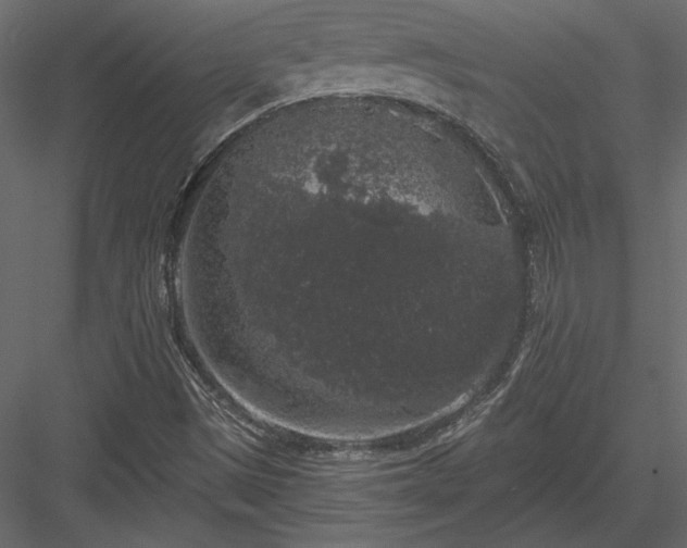 X0000084051497200702232337