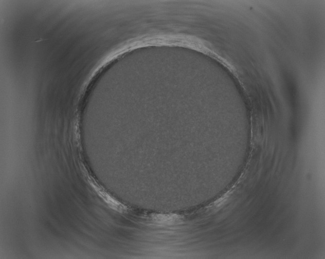 X0000084051498200702232337