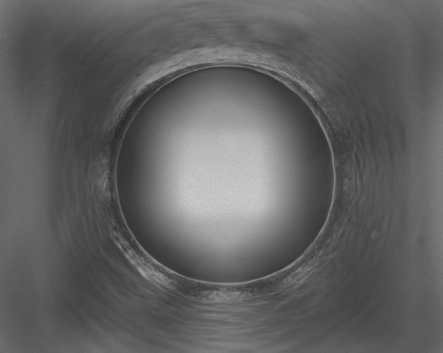 X0000084051499200702232337