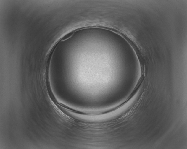 X0000084051500200702232337