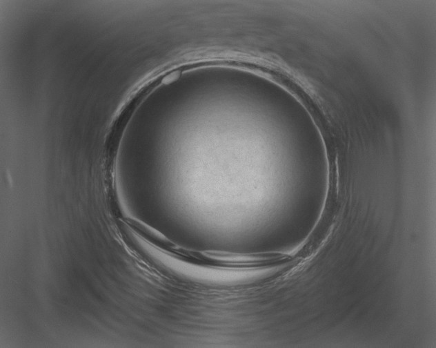 X0000084051501200702232337