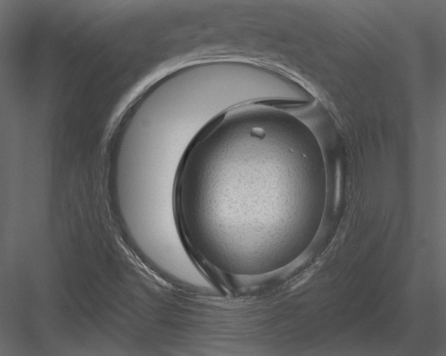 X0000084051502200702232337