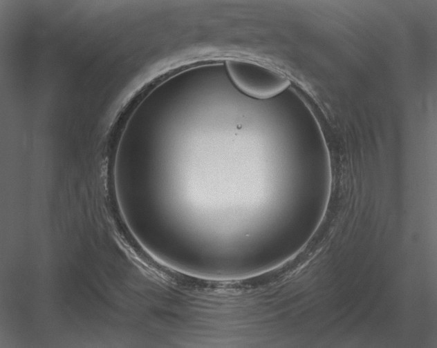 X0000084051503200702232337