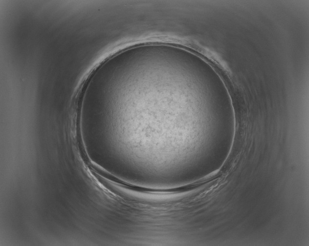 X0000084051504200702232337