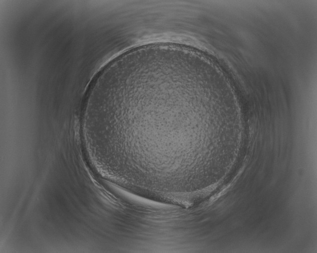 X0000084051505200702232337