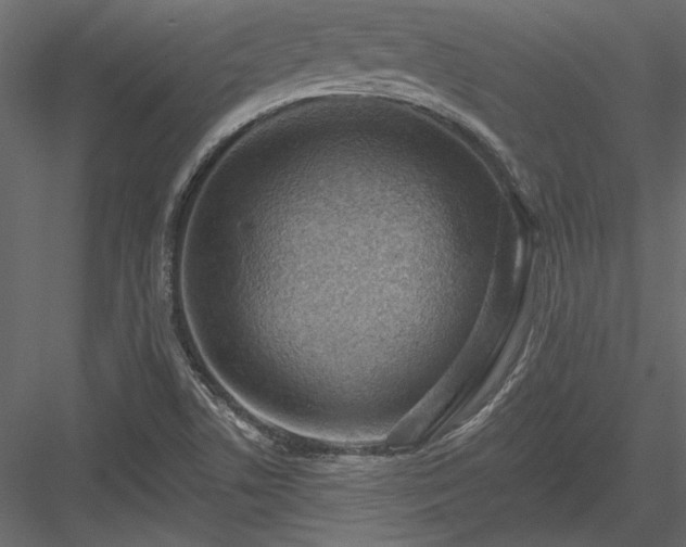 X0000084051506200702232337