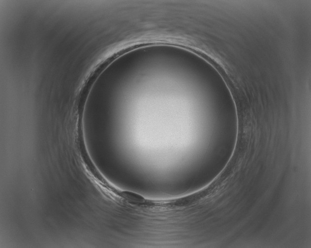 X0000084051507200702232337