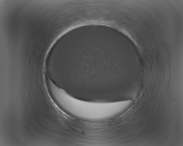 X0000084051508200702232337