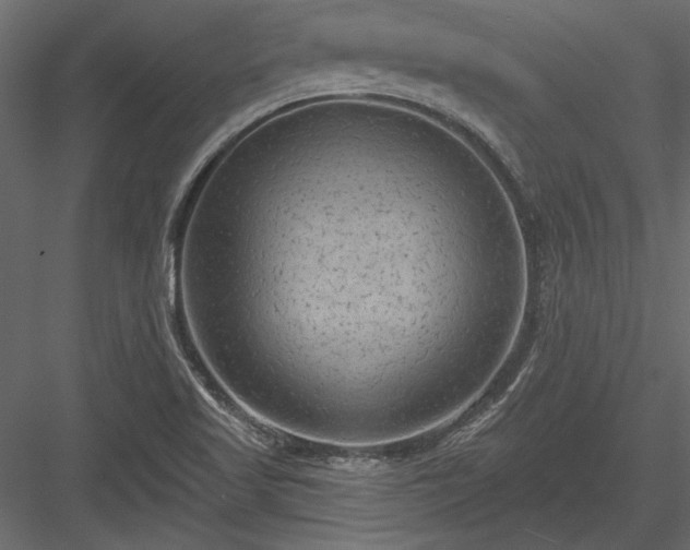 X0000084051509200702232337