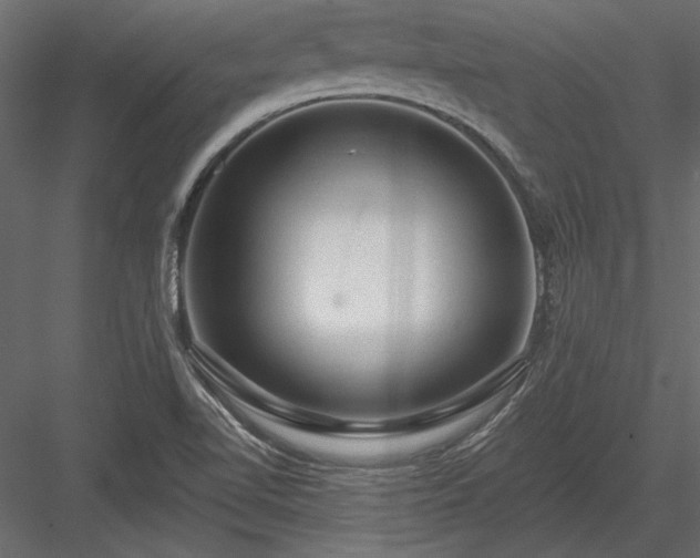 X0000084051510200702232337