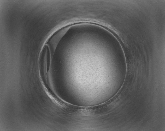 X0000084051511200702232337