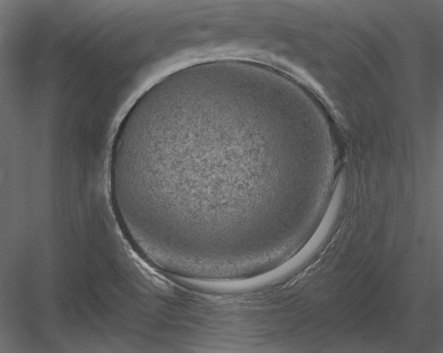 X0000084051512200702232337