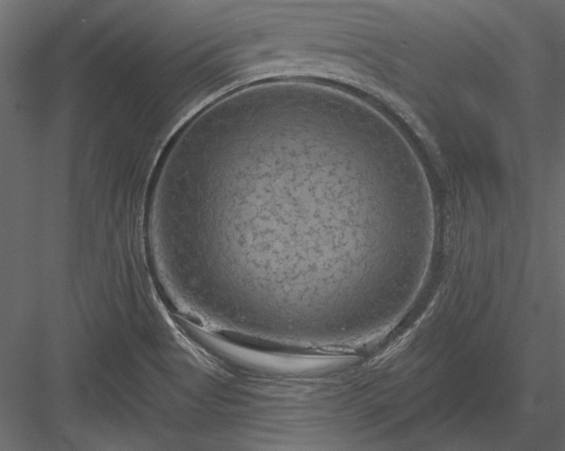 X0000084051513200702232338