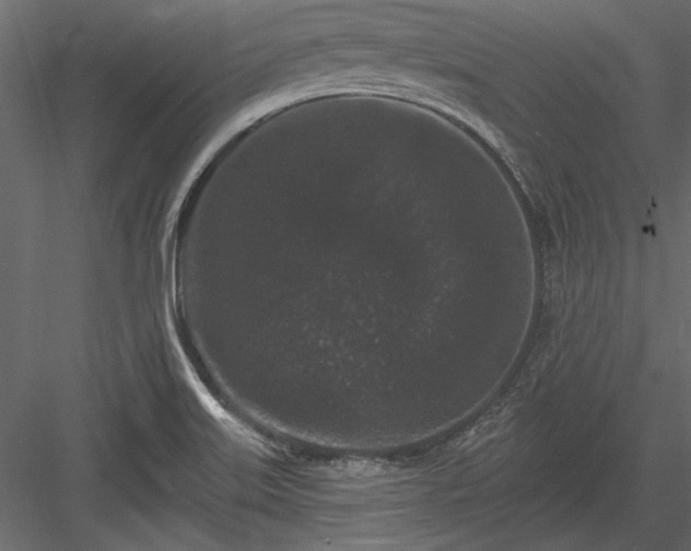 X0000084051515200702232338