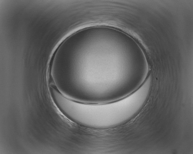 X0000084051516200702232338