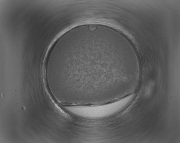 X0000084051517200702232338