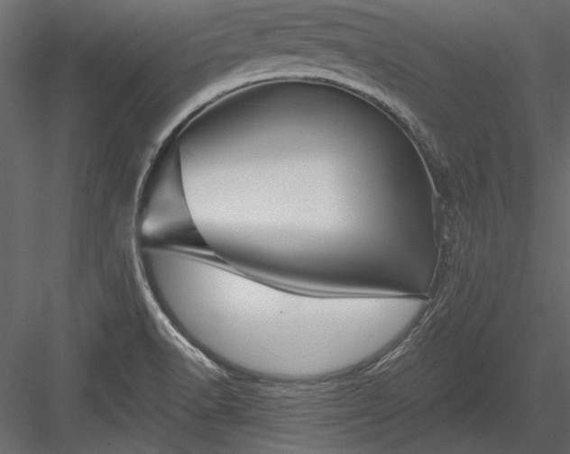 X0000084051518200702232338