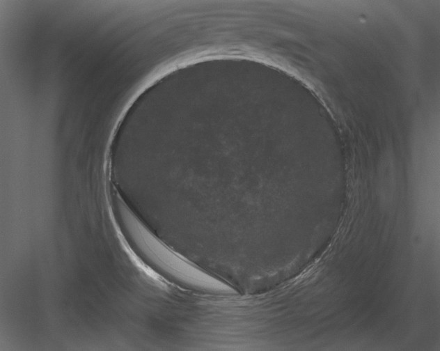 X0000084051519200702232338