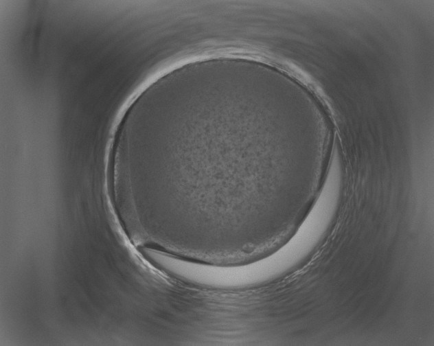 X0000084051520200702232338