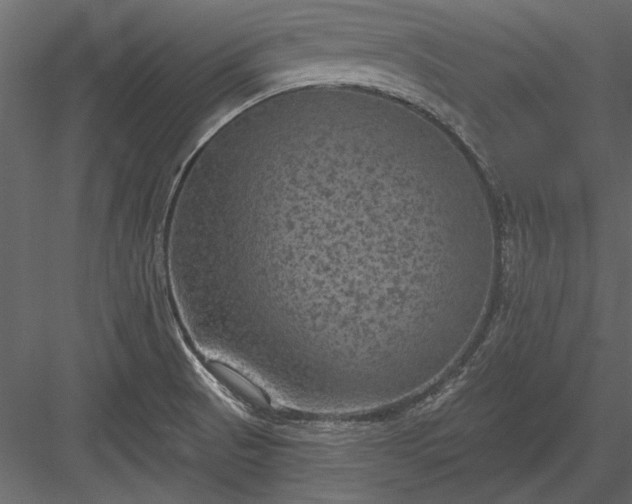 X0000084051521200702232338