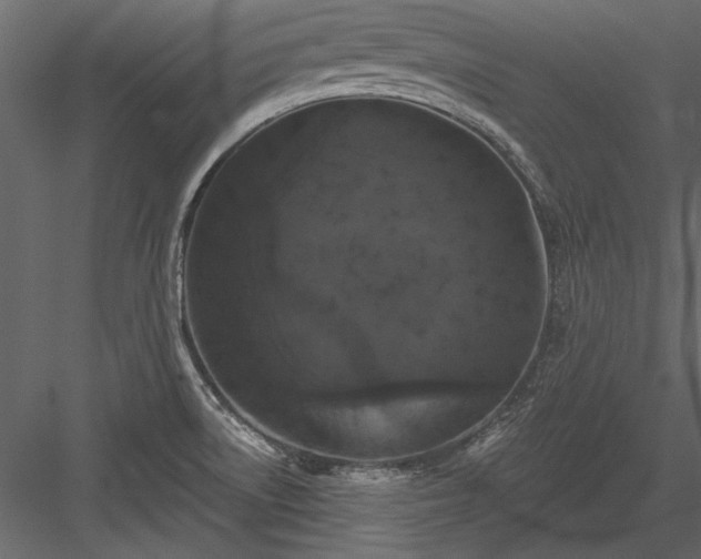 X0000084051522200702232338