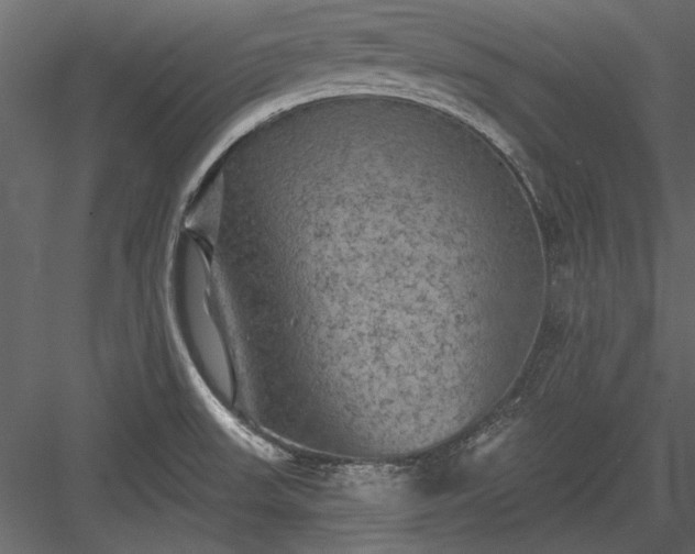 X0000084051523200702232338