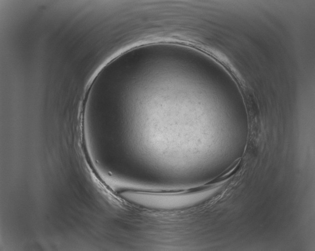 X0000084051524200702232338