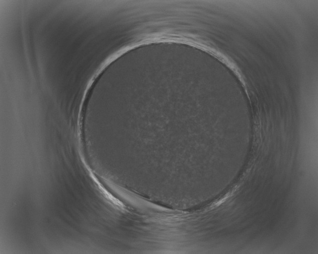 X0000084051525200702232338