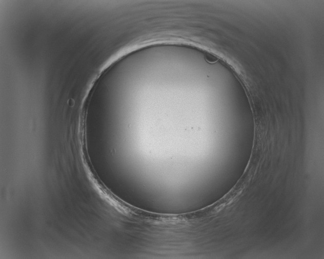 X0000084051526200702232338