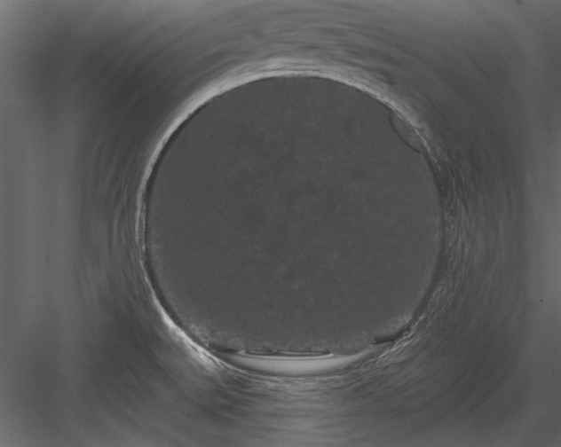 X0000084051527200702232338