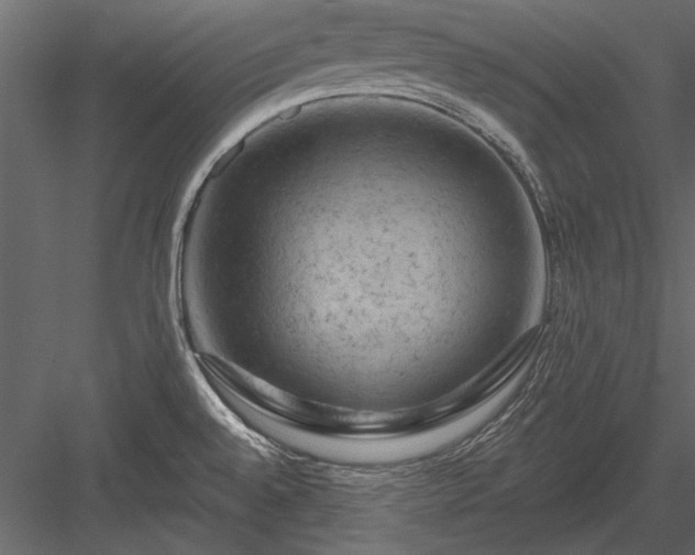 X0000084051528200702232338