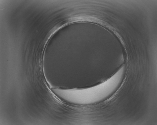 X0000084051529200702232338