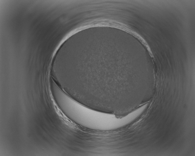 X0000084051530200702232338