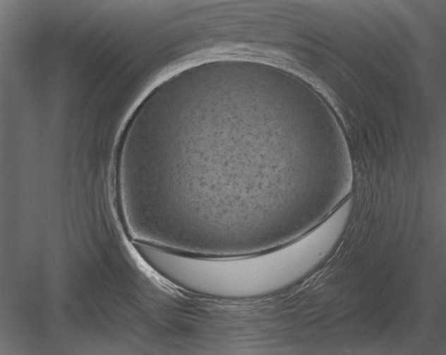 X0000084051531200702232338