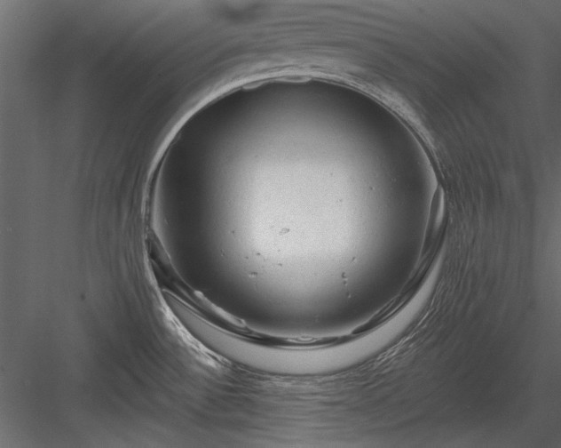 X0000084051532200702232338