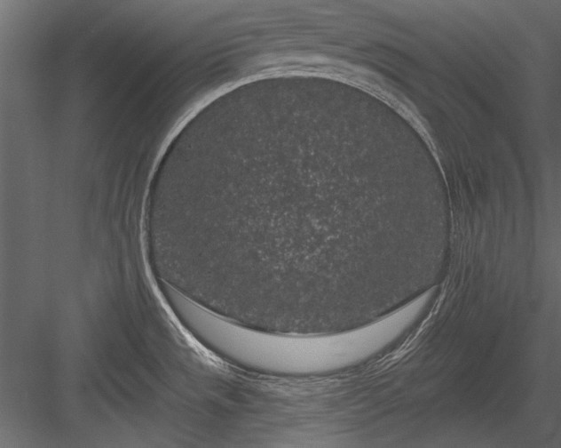 X0000084051533200702232338