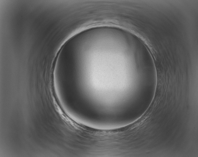 X0000084051534200702232338