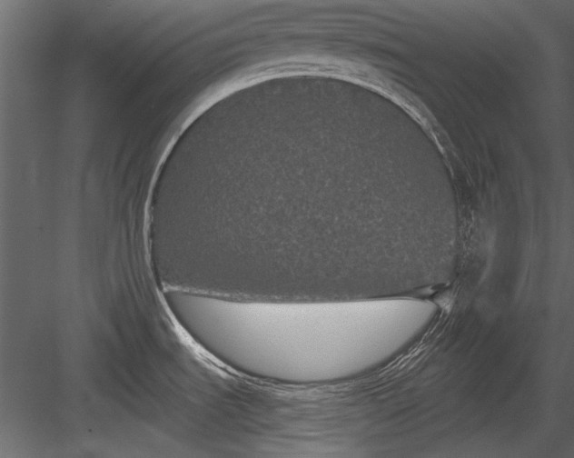 X0000084051535200702232338